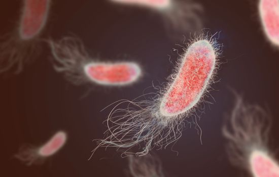 Harnwegsinfekte: Ursachen, Symptome, Behandlung und Prävention